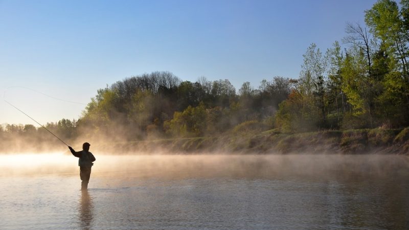 Casting Away: Tips for a Successful Fly Fishing Trip